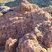 Corse - Cargèse - Golfe de Topiti - Serpentine & Rhyolite Alcaline