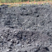 Corse - Osani - Anthracite