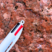Granite rouge de Porto