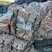 Corse - Cargèse - Golfe de Topiti - Serpentine & Rhyolite Alcaline