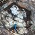 Pegmatites décimétriques
