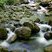 Roches dans un cours d'eau dans la forêt de Vizzavona en Corse