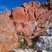 Corse - Piana - Capu Rossu - Granite Alcalin & Calcite