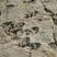 empreintes d'archausaures de Vieux Emosson
