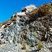 Corse - Muracciole - Schistes bleus