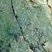 Serpentinite