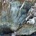Corse - Cargèse - Golfe de Topiti - Serpentine & Rhyolite Alcaline
