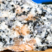 Granites