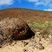 Bombe volcanique, Lanzarote (Îles Canaries)