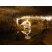 Stalactite dans la galerie du siphon - grottes de Choranche