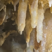 Illustration de la formation d'une stalactite monocristalline, à la grotte du Grand Roc