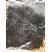 Pistes de vers marins (Postolonnec)