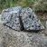 Corse - Aullène - Granodiorite à amphiboles