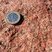 Granite rouge de Porto