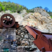 Corse - Ghisoni - Mine de La Finosa