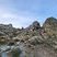 Corse - Piobetta - Gneiss