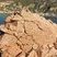 Corse - Cargèse - Golfe de Topiti - Serpentine & Rhyolite Alcaline