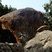 La Tête du Chien, Granite Alcalin, Piana(Corse)