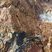Corse - Evisa - Pegmatite permienne à quartz décimétriques