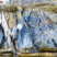 Flysch à lydiennes
