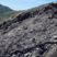 Corse - Osani - Anthracite