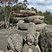 Namadgi, Territoire de la Capitale Australienne (ACT)