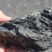 Corse - Osani - Anthracite