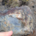 Corse - Osani - Anthracite
