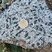 Corse - Aullène - Granodiorite à amphiboles