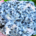 Granites
