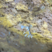 insecte pétrifié par ce qui ressemble à de l'aragonite dans une grotte aux Eyzies