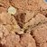 Corse - Cargèse - Golfe de Topiti - Serpentine & Rhyolite Alcaline