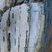 Flysch à silex de Guétary