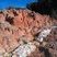 Corse - Piana - Capu Rossu - Granite Alcalin & Calcite