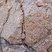 Corse - Cargèse - Golfe de Topiti - Serpentine & Rhyolite Alcaline
