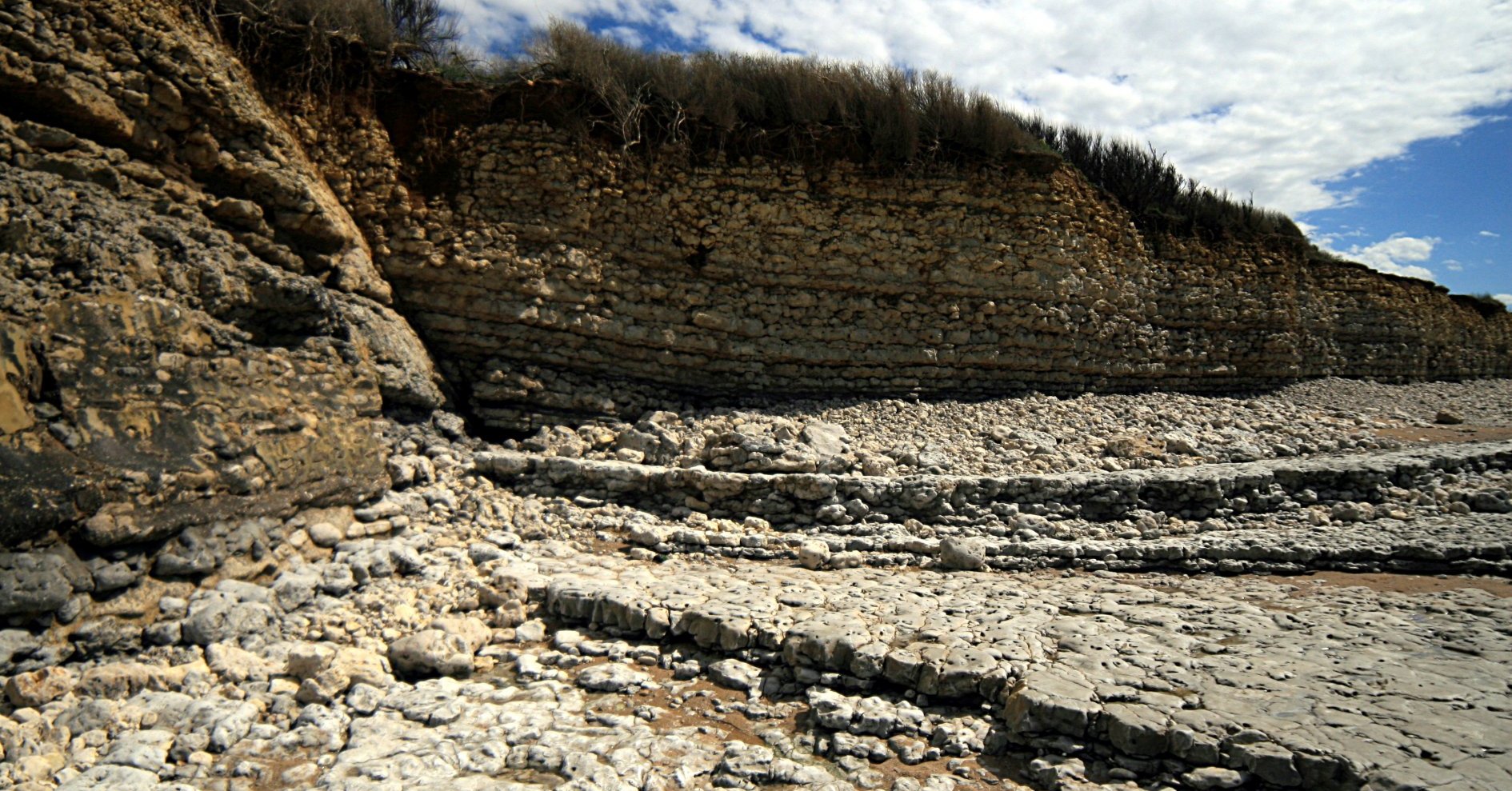Calcaires blancs argileux / Pointe de Chassiron