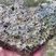 Corse - Aullène - Granodiorite à amphiboles