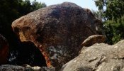 La Tête du Chien, Granite Alcalin, Piana(Corse)