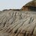 Erosion dans les roches meubles des Badlands du Dinosaur P.P.