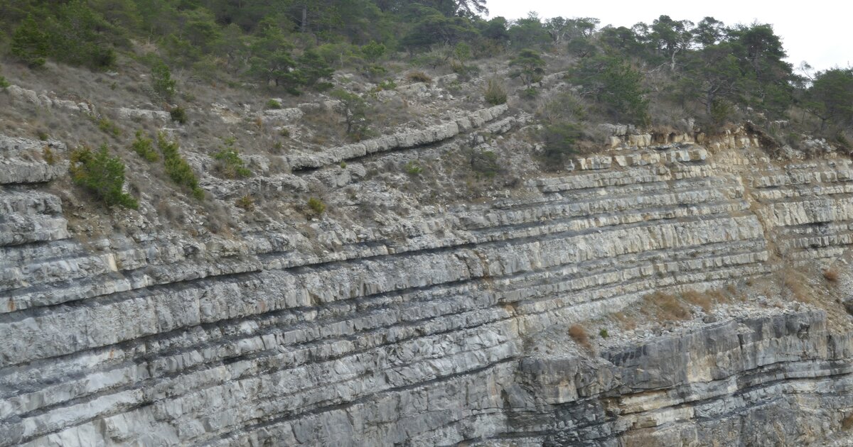 Alternance calcaires et marnes hauteriviens — free download
