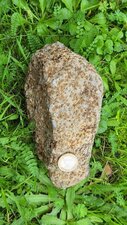 Troctolite