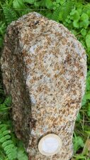 Troctolite