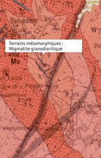 Migmatite Granodiorite