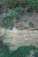Plage fossile de Cap Romain
