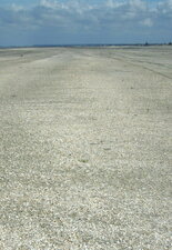 Grève de sable coquillier