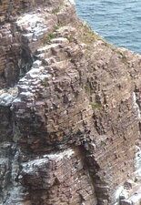 Rocher de la fauconnière, cap Frehel