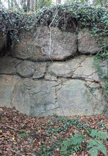 Affleurement de Granodiorite cadomienne à biotite