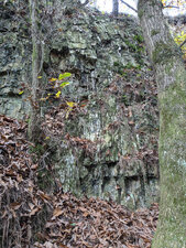 Grès-quartzites clairs (« Grès culminants »)