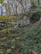 Ampélites du Llandovery moyen du Tertre Gris