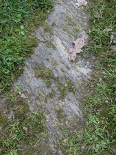  Schistes subardoisiers silteux sombres, chlorito-micacés